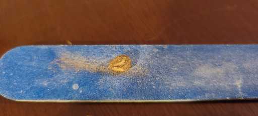 Nail File to Scuff Seed